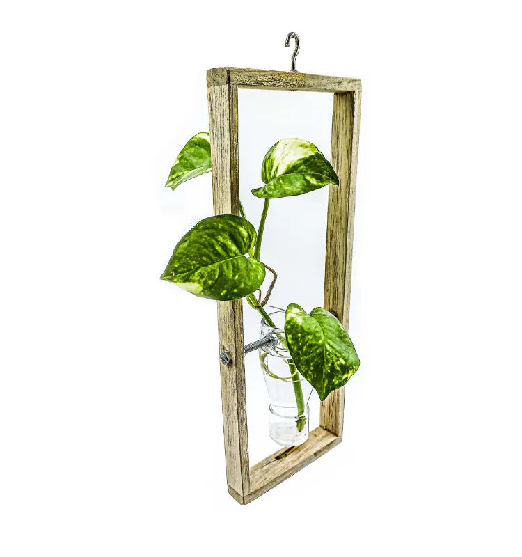 Artistic eco-friendly wall planter perfect for gifting and sustainable décor.