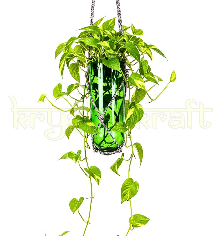 Upcycled Green Glass Bottle Hanging Planter for Indoor and Outdoor Use