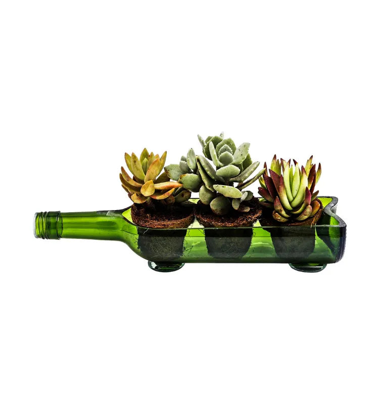 Eco-friendly upcycled wine bottle planter for home and office by Krystal Kraft