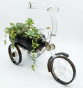 Tricycle glass planter holding a small green plant on a wooden shelf at home