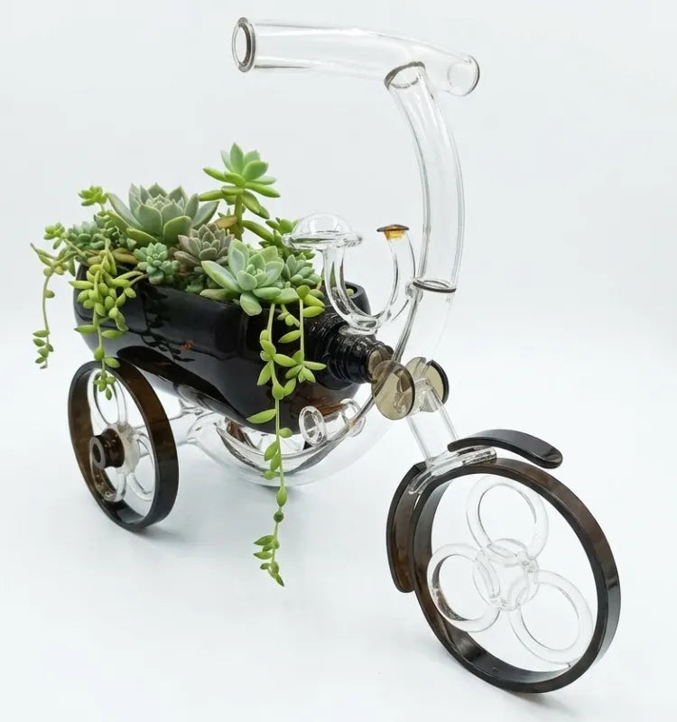 Tricycle glass planter holding a small green plant on a wooden shelf at home